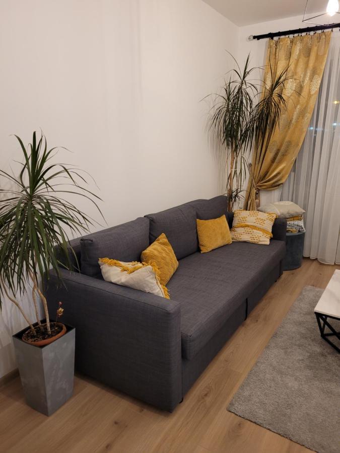 4Qualis Braşov Exterior foto